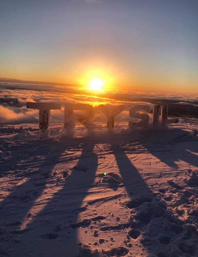 In The Middle Of Trysil Fjellet - Welcome Center - Apartment With 4 Bedrooms And Sauna - By Bike Arena And Ski Lift Εξωτερικό φωτογραφία