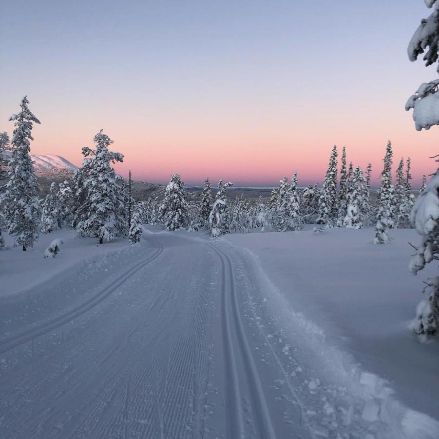 In The Middle Of Trysil Fjellet - Welcome Center - Apartment With 4 Bedrooms And Sauna - By Bike Arena And Ski Lift Εξωτερικό φωτογραφία