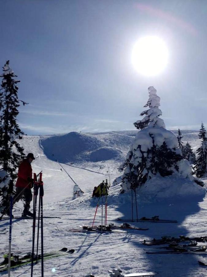 In The Middle Of Trysil Fjellet - Welcome Center - Apartment With 4 Bedrooms And Sauna - By Bike Arena And Ski Lift Εξωτερικό φωτογραφία