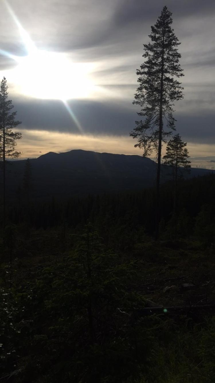 In The Middle Of Trysil Fjellet - Welcome Center - Apartment With 4 Bedrooms And Sauna - By Bike Arena And Ski Lift Εξωτερικό φωτογραφία